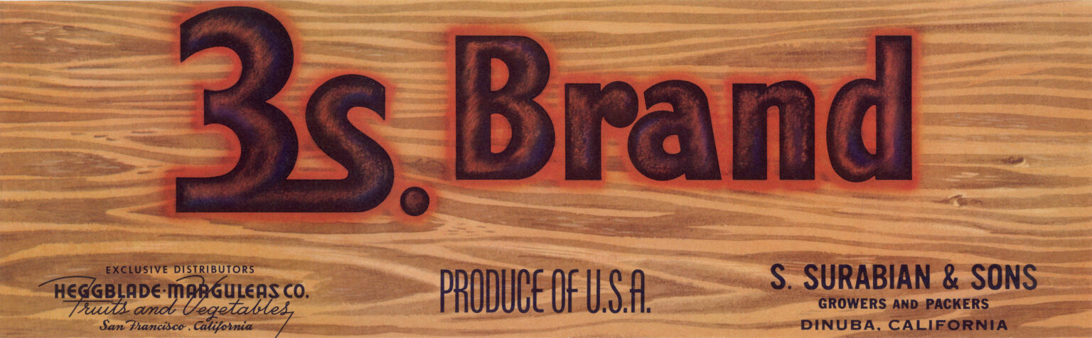 3s Brand 3s Brand
