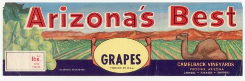 Arizona's Best