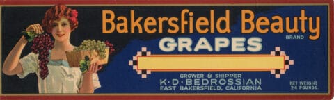 Bakersfield Beauty