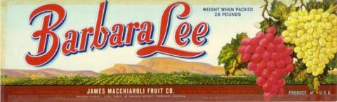 GL