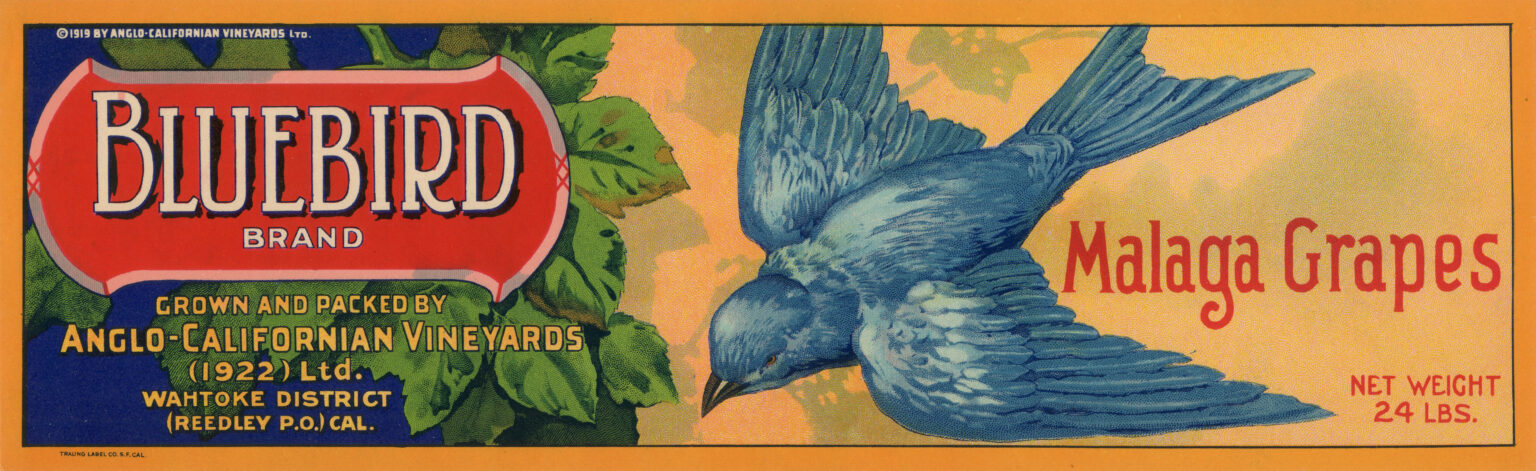Bluebird-2 Bluebird-2