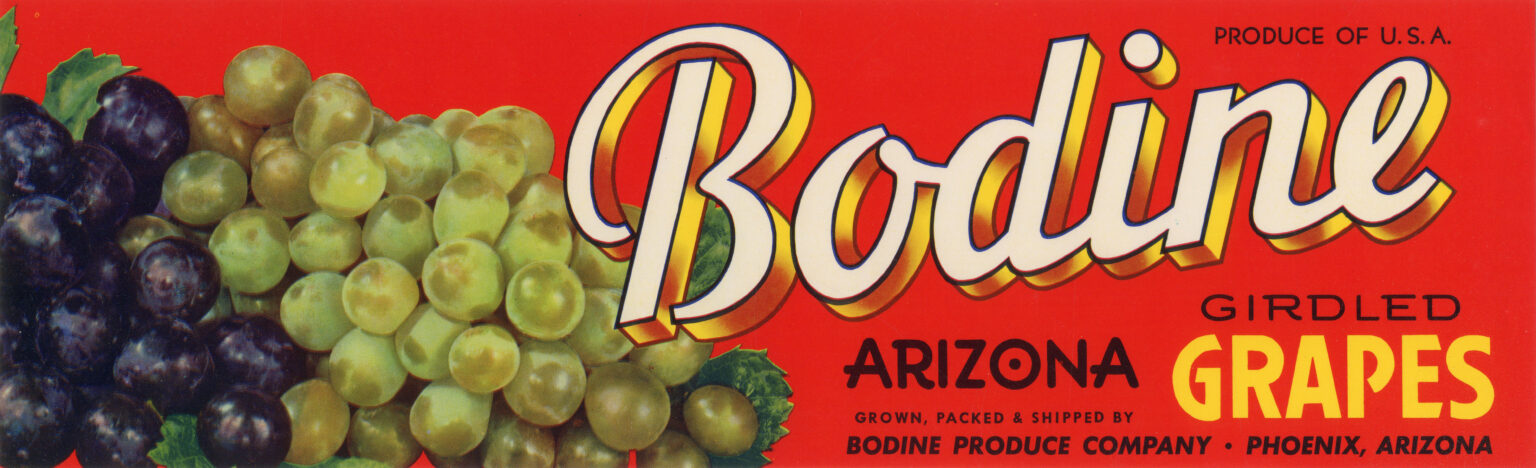 Bodine Bodine