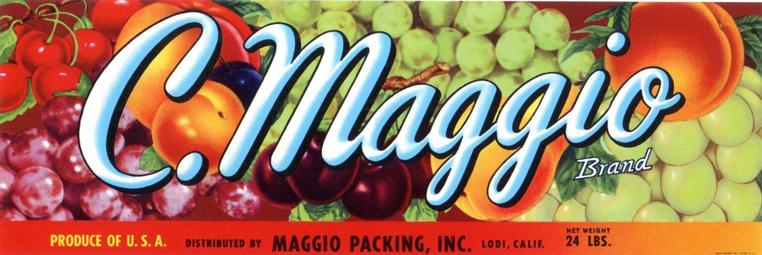 C.Maggio-2 C.Maggio-2
