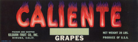 Caliente-2