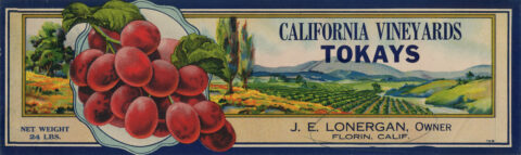 Califormia Vinyards Tokays