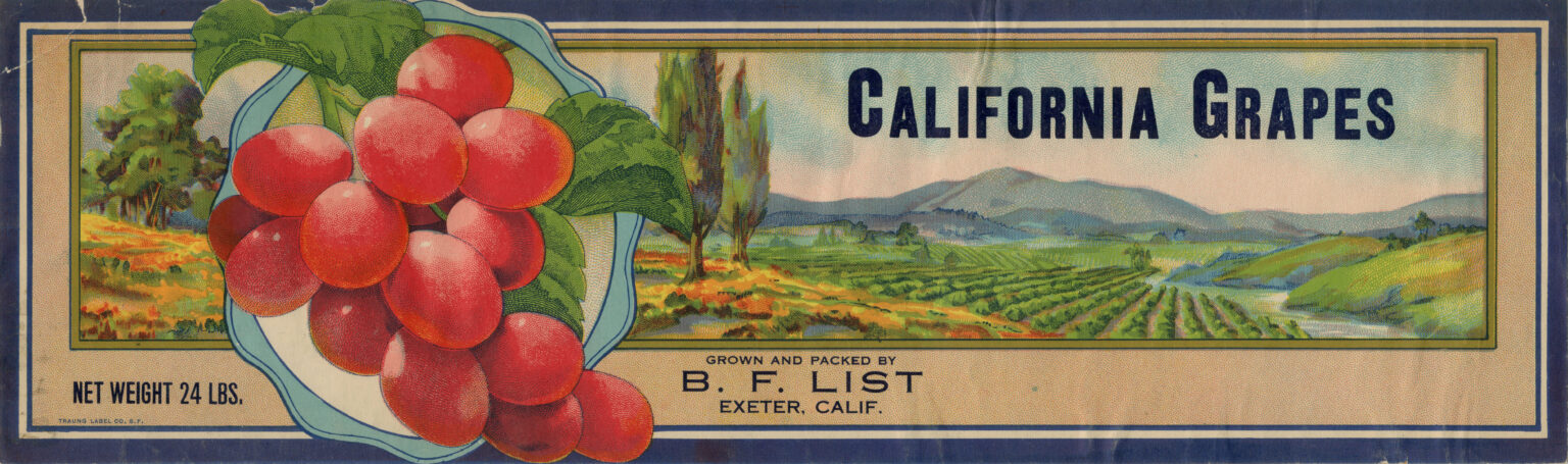 California Grapes California Grapes