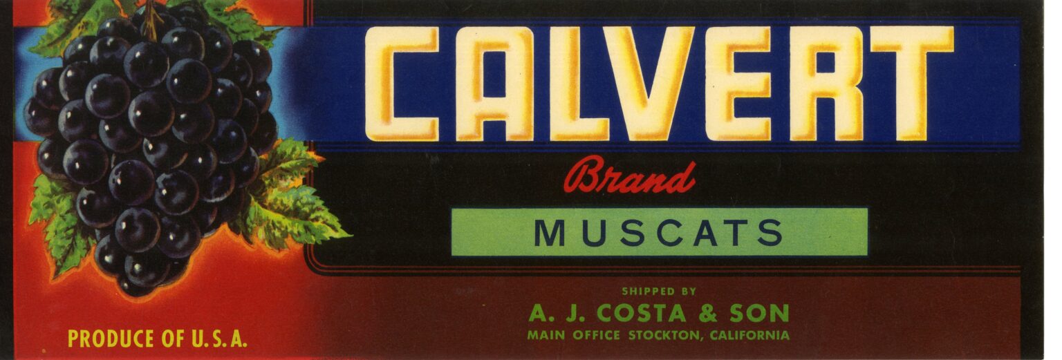 Calvert Calvert