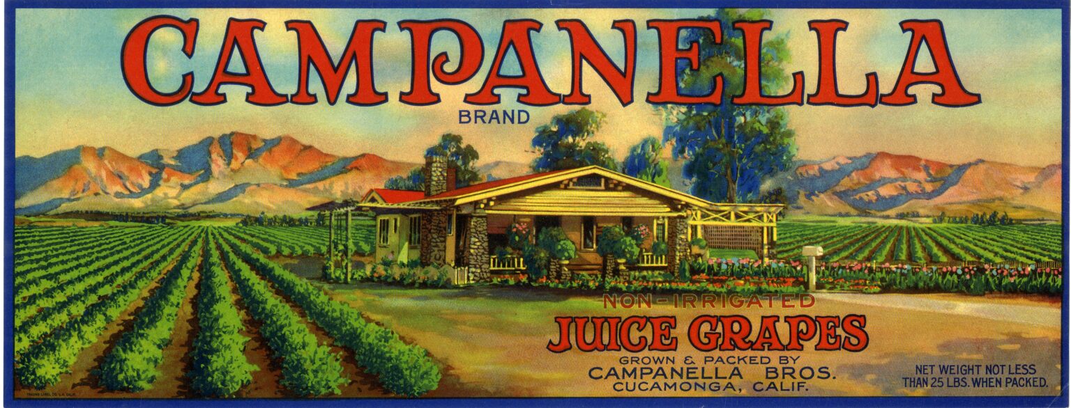 Campanella Campanella