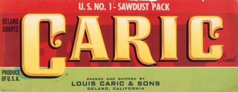 Caric