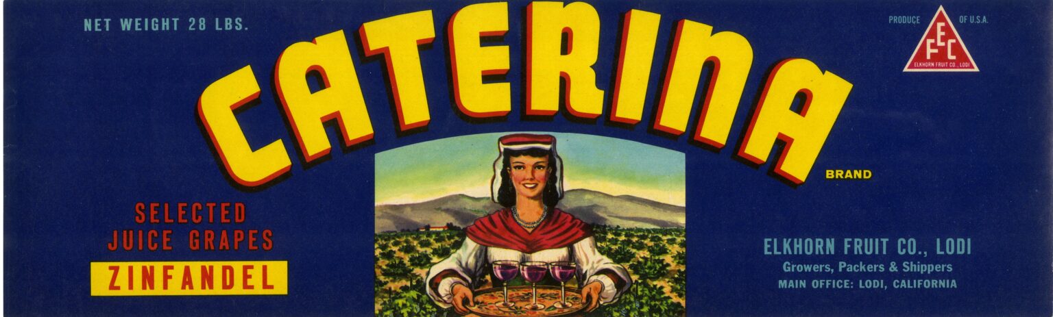Caterina Caterina