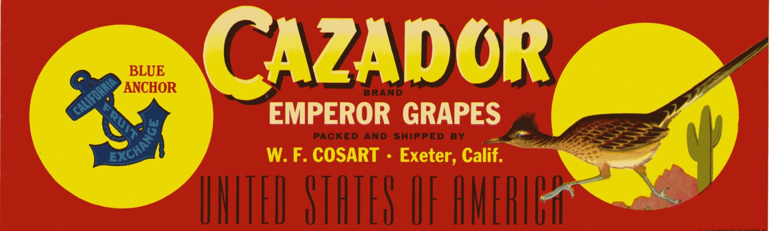 Cazador Cazador