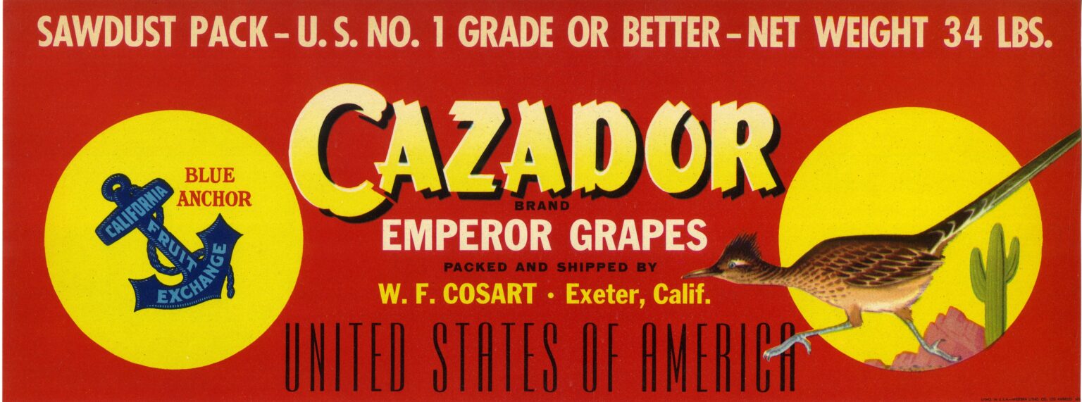 Cazador Cazador