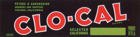 Clo-Cal-2