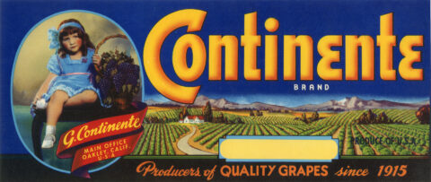 Continente