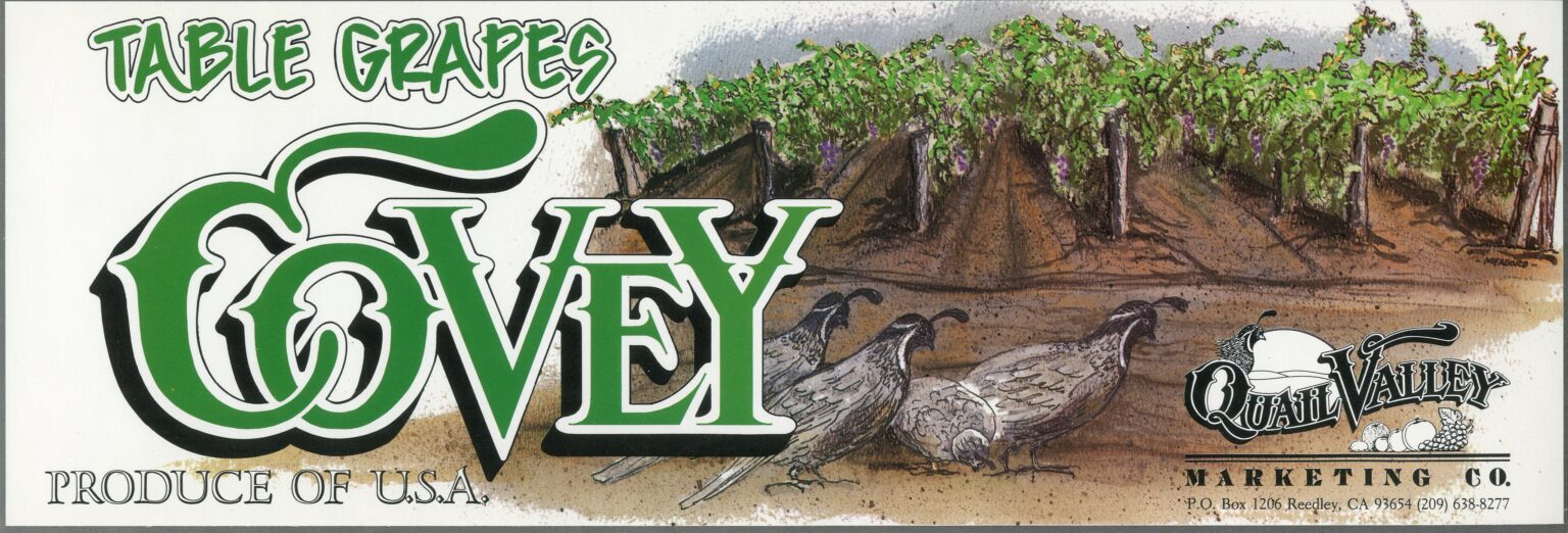 Covey Covey