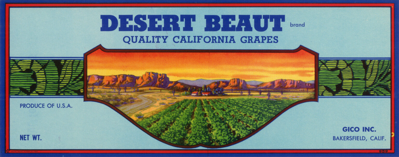 Desert Beaut