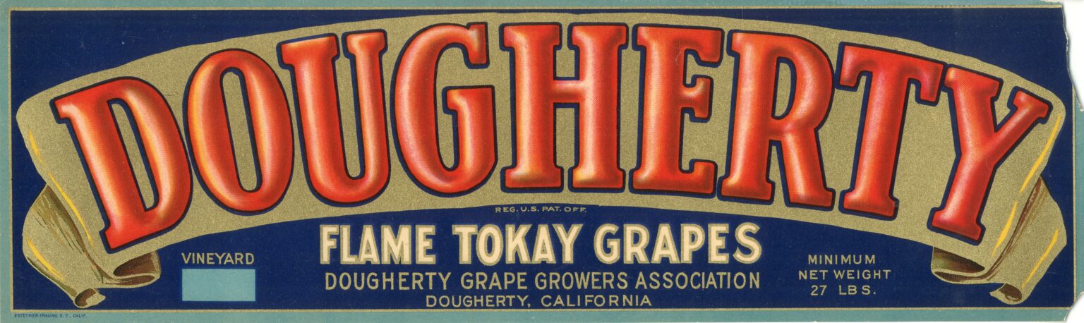 Dougherty Dougherty