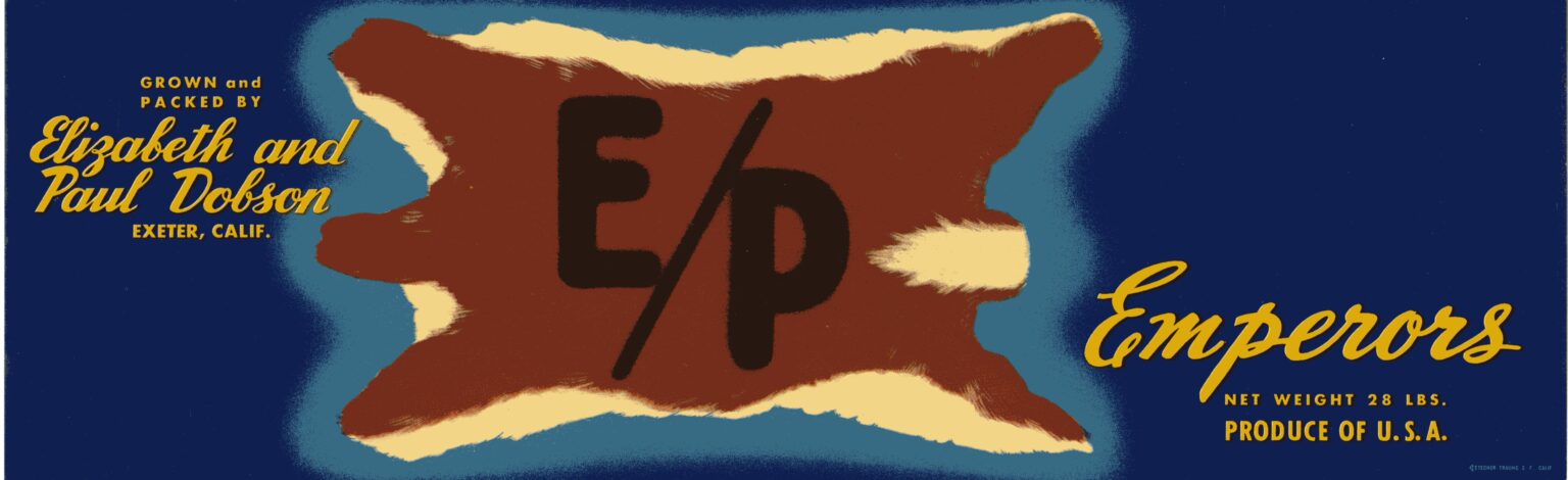 E P E P