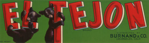 El Tejon