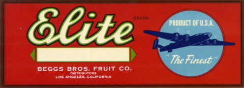 Elite