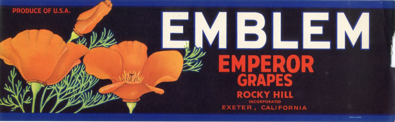 Emblem Emblem