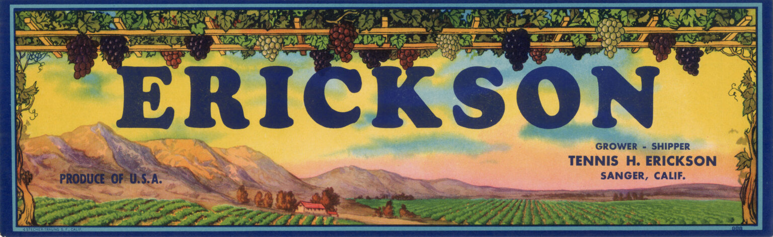 Erickson Erickson
