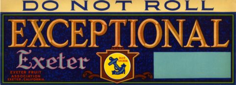 Exceptional