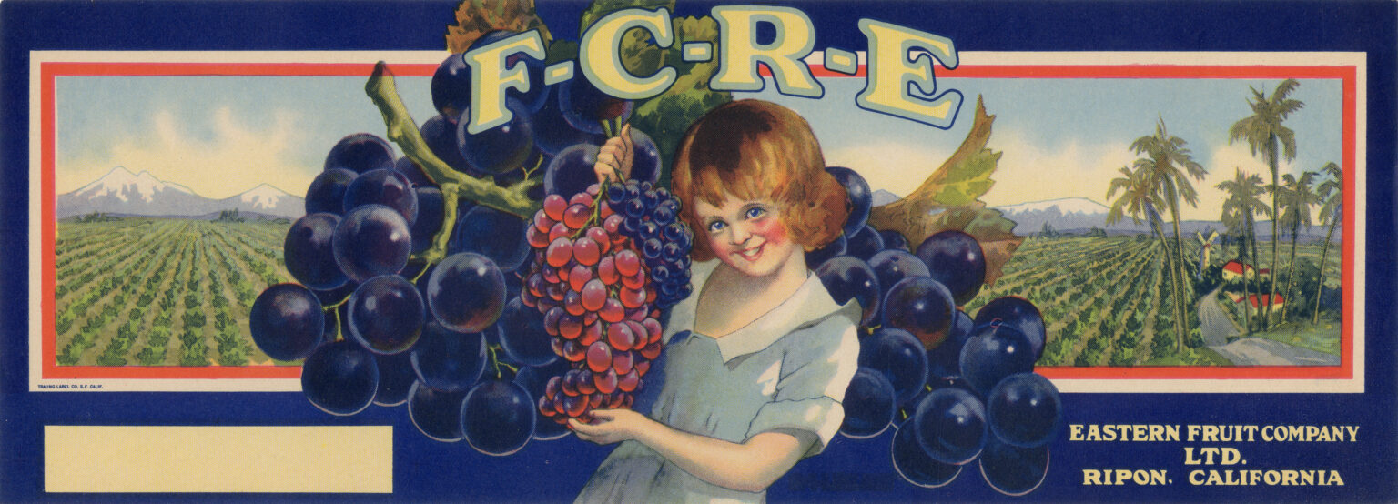 F C R E F C R E