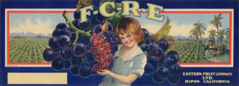 F C R E