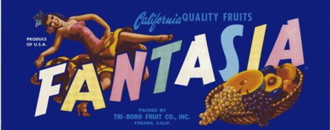 Fantasia