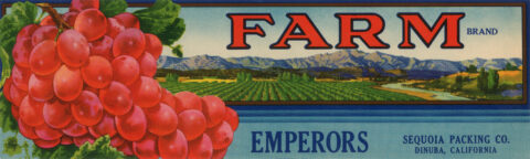 Farm
