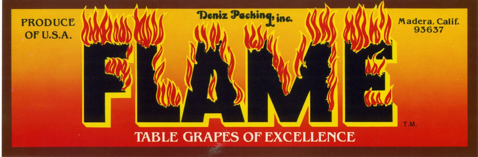 Flame Flame