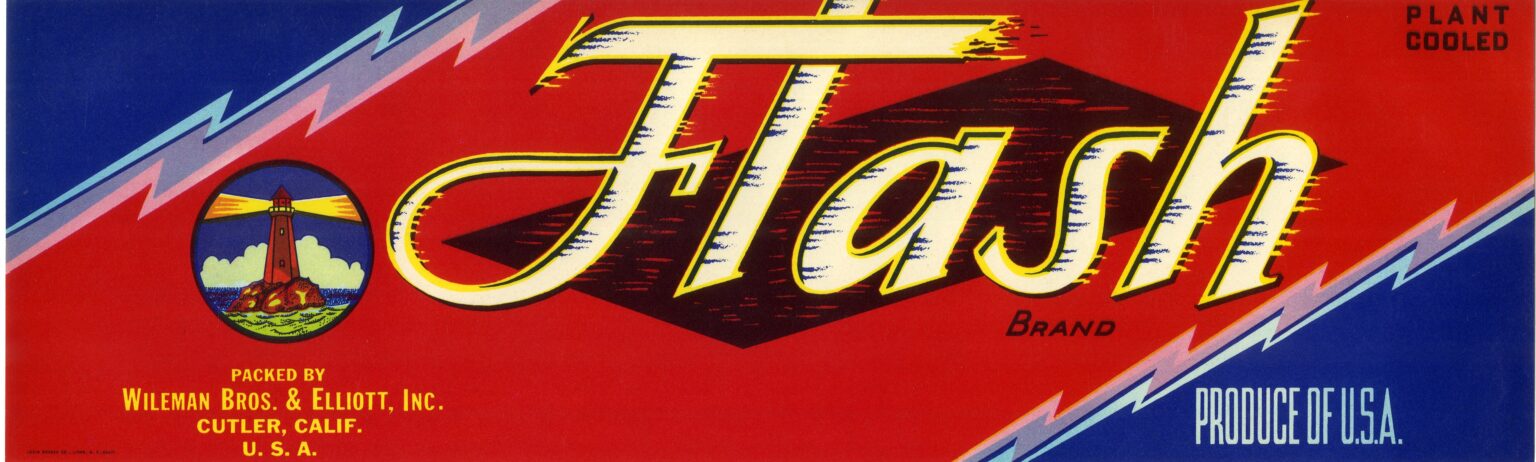 Flash Flash