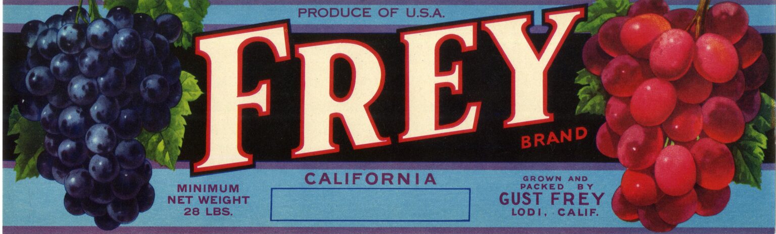 Frey Frey