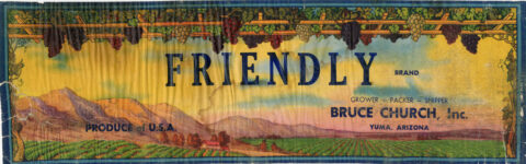 Friendly
