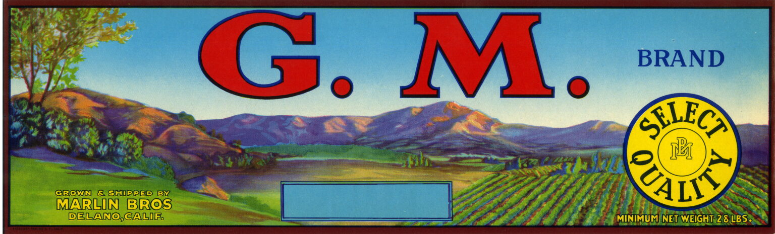 G.M G.M