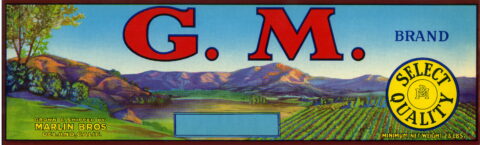 G.M