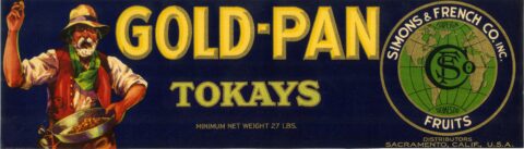 Gold Pan
