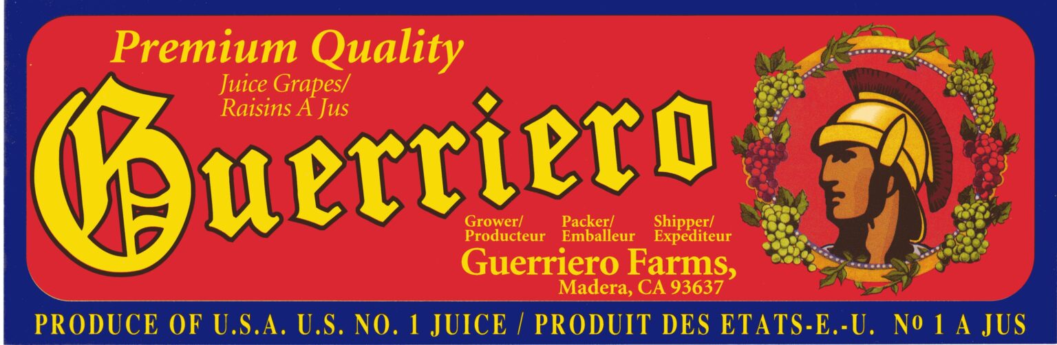 Guerriero Guerriero