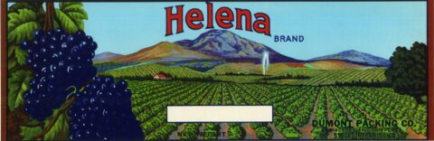 Helena