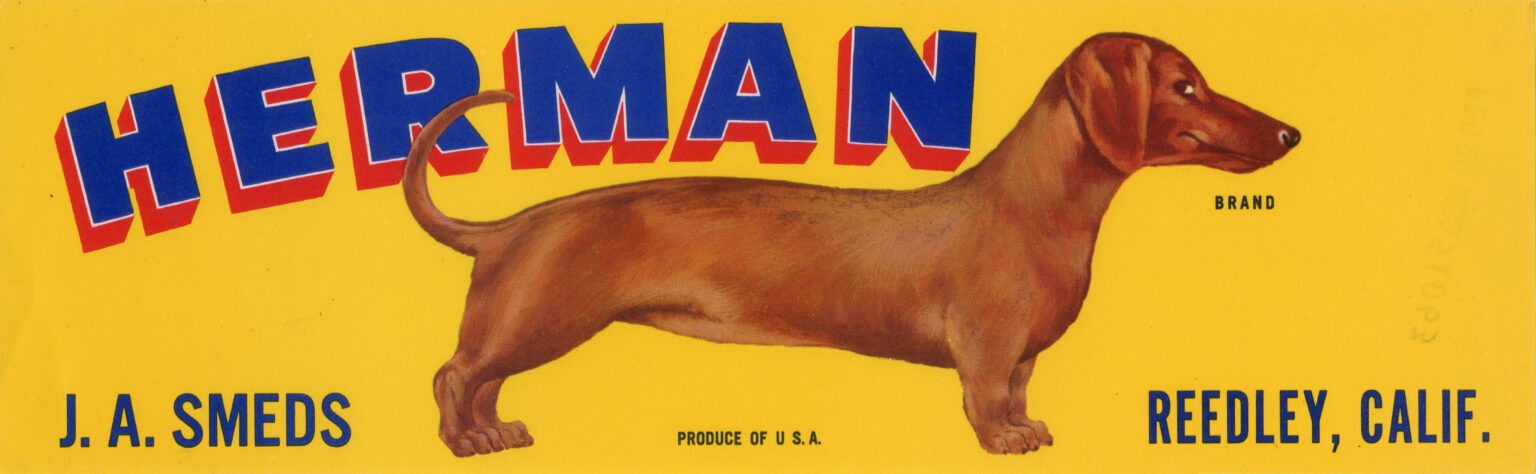 Herman Herman