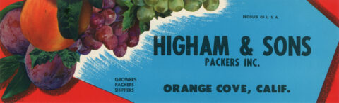 Higham & Sons