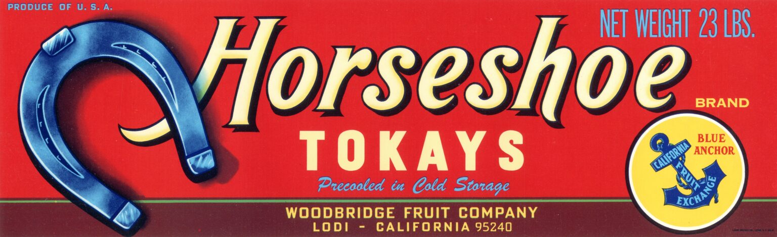 Horseshoe Horseshoe