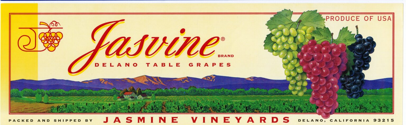 Jasvine Jasvine