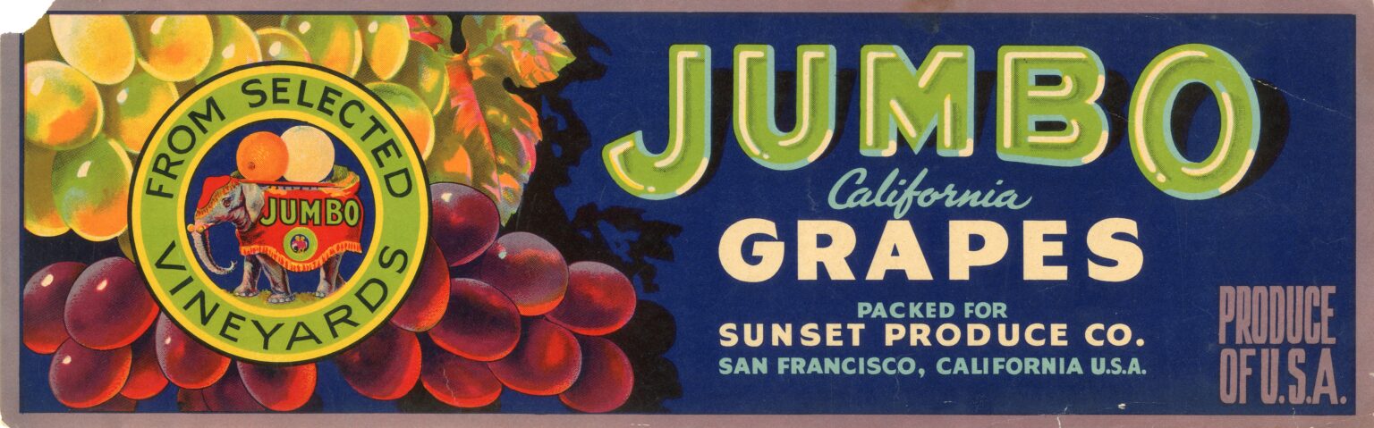 Jumbo Jumbo