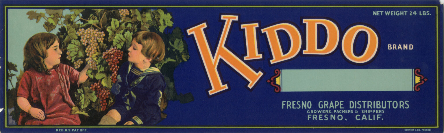 Kiddo Kiddo