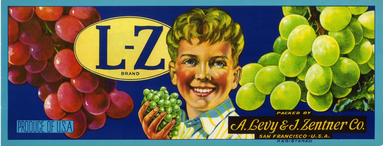 L Z L Z