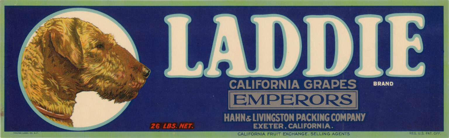 Laddie