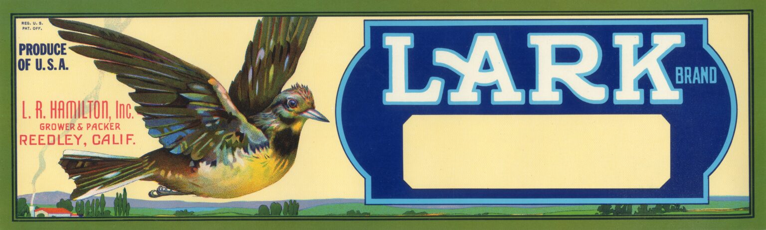 Lark Lark