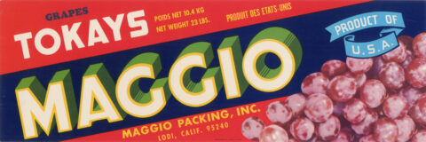 Maggio
